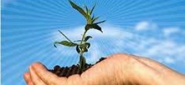 Needham’s Green Communities Study Committee