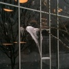 Seen About Town: An Ice Owl…or Dementor?