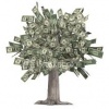 Save Money while Protecting Our Environment